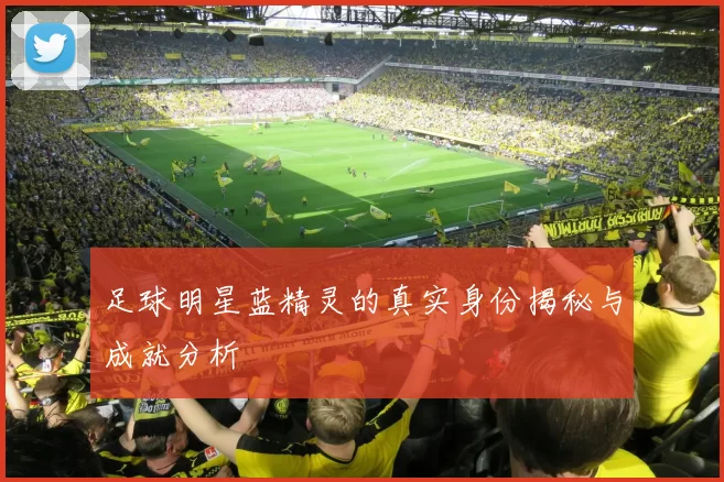 足球明星蓝精灵的真实身份揭秘与成就分析