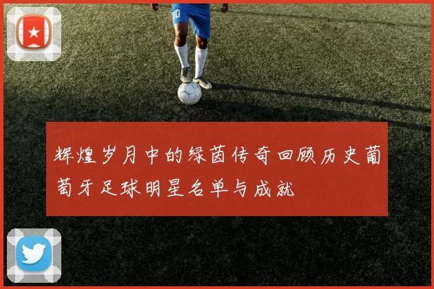 辉煌岁月中的绿茵传奇回顾历史葡萄牙足球明星名单与成就