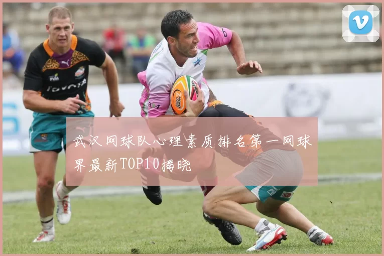 武汉网球队心理素质排名第一网球界最新TOP10揭晓