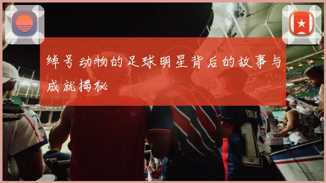 绰号动物的足球明星背后的故事与成就揭秘