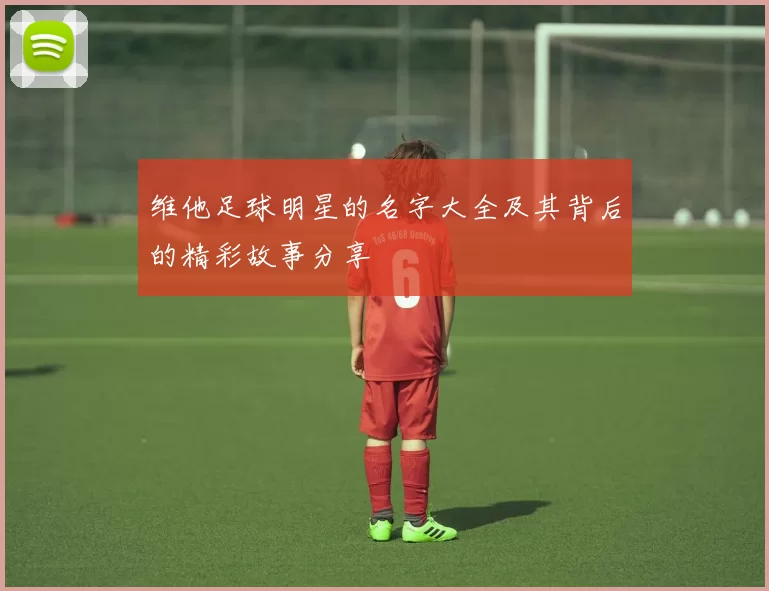 维他足球明星的名字大全及其背后的精彩故事分享