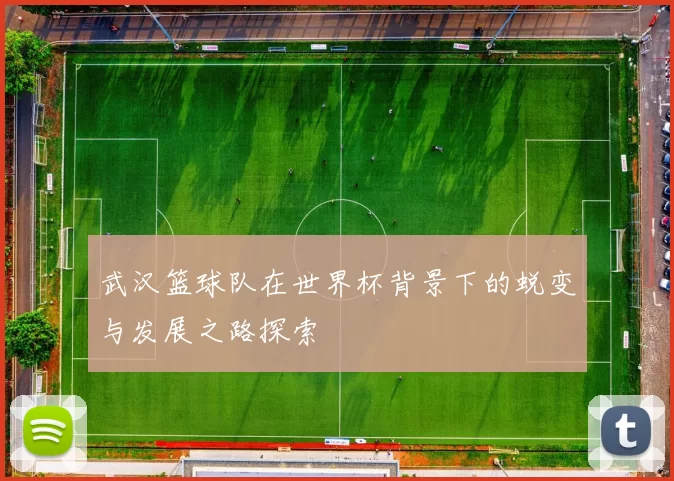 武汉篮球队在世界杯背景下的蜕变与发展之路探索