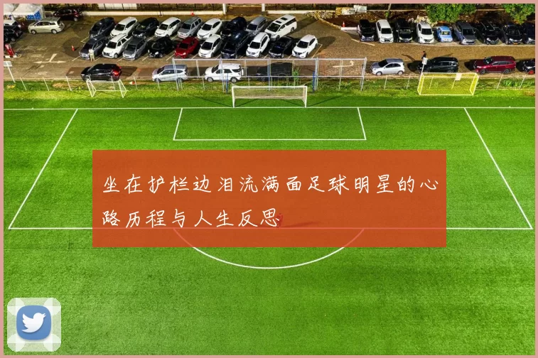 坐在护栏边泪流满面足球明星的心路历程与人生反思