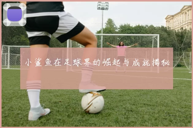 小鲨鱼在足球界的崛起与成就揭秘