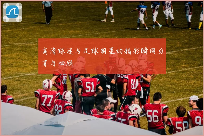 高清球迷与足球明星的精彩瞬间分享与回顾